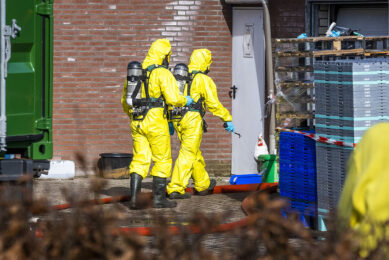 Birds on the affected farm are being culled by the authorities. Photo: Bert Jansen
