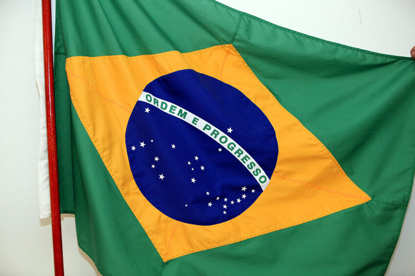 Leading European poultry firms threaten to boycott Brazilian agricultural commodities if Brazil s Congress passes a bill leading to more deforestation. Photo: Henk Riswick