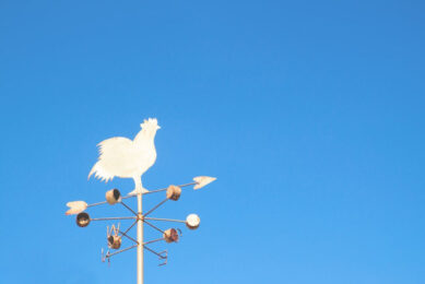 Photo: Schantalao