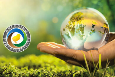 Breeding Sustainability: Reducing CO2 in the poultry sector Photo: Aviagen