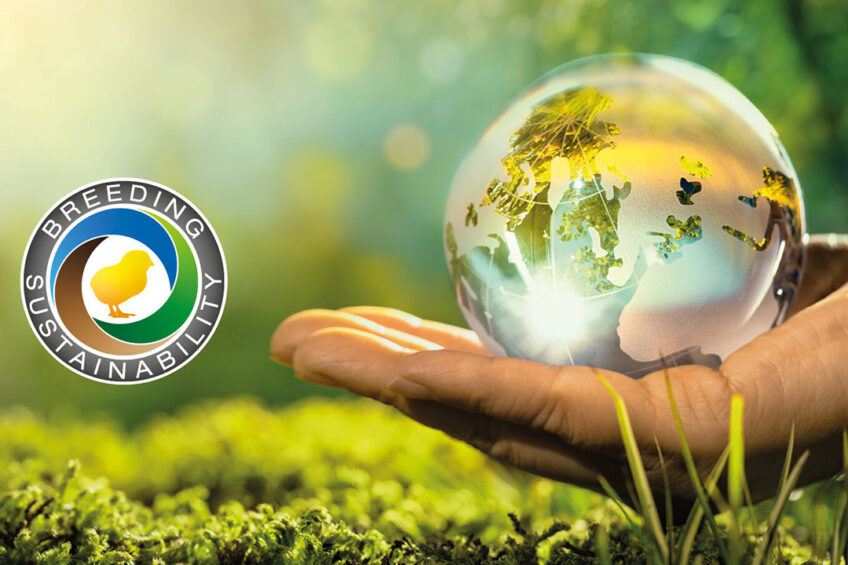 Breeding Sustainability: Reducing CO2 in the poultry sector Photo: Aviagen