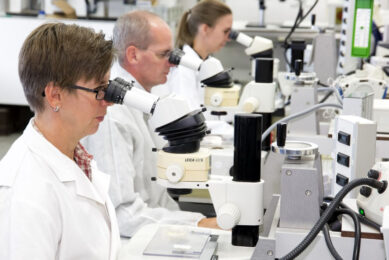 Diagnostic poultry pathology experts explain gut issues from the necropsy room to the microscope. Photo: Ruud Ploeg