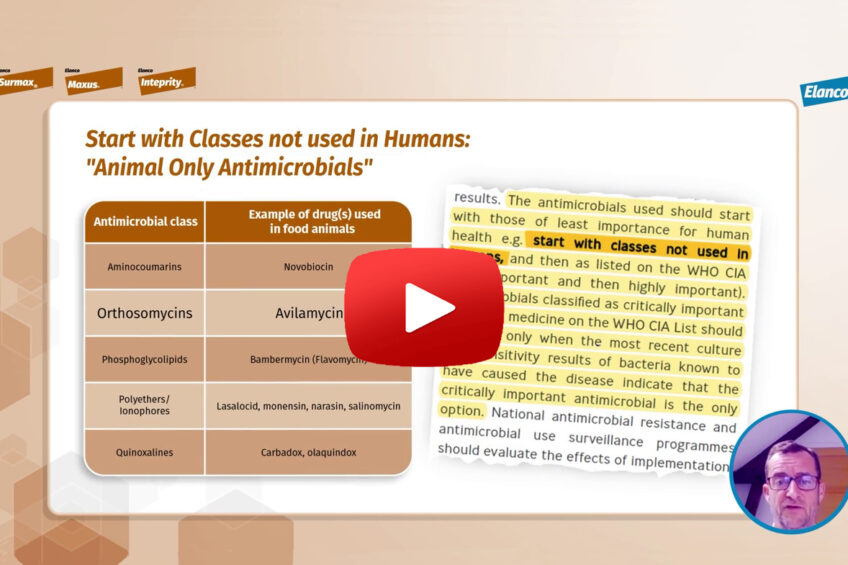 Video 6: Why Avilamycin is the responsible choice; WHO guidelines