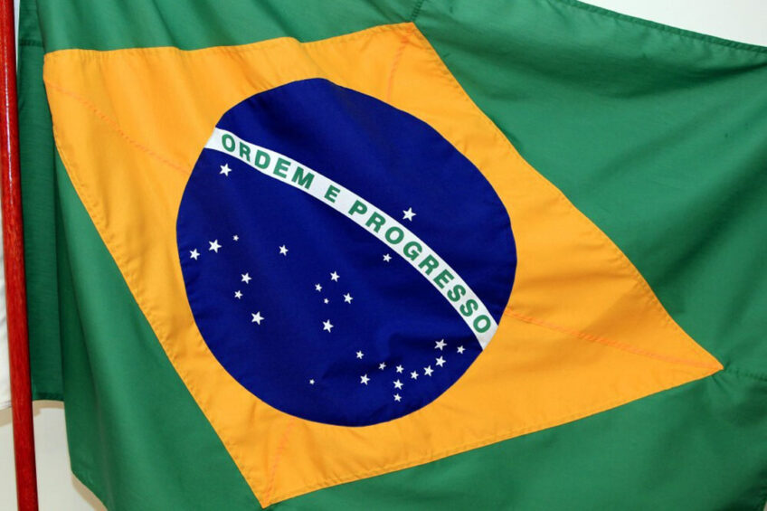 Brazil may account for 32.5% of global poultry export growth over the next decade. Photo: Henk Riswick