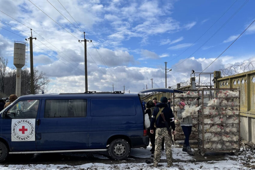 Donation of chickens by Vasylkiv poultry farm. Photo: Vasyatka1