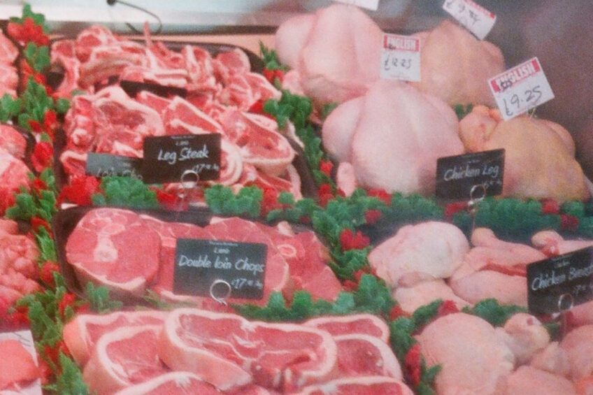 How can the UK poultry sector benefit from increasing demand? Photo: Leonardo Carvalho