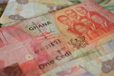 Poultry farmers in Ghana affected by avian influenza will receive compensation. Photo: PDPics/1363 images