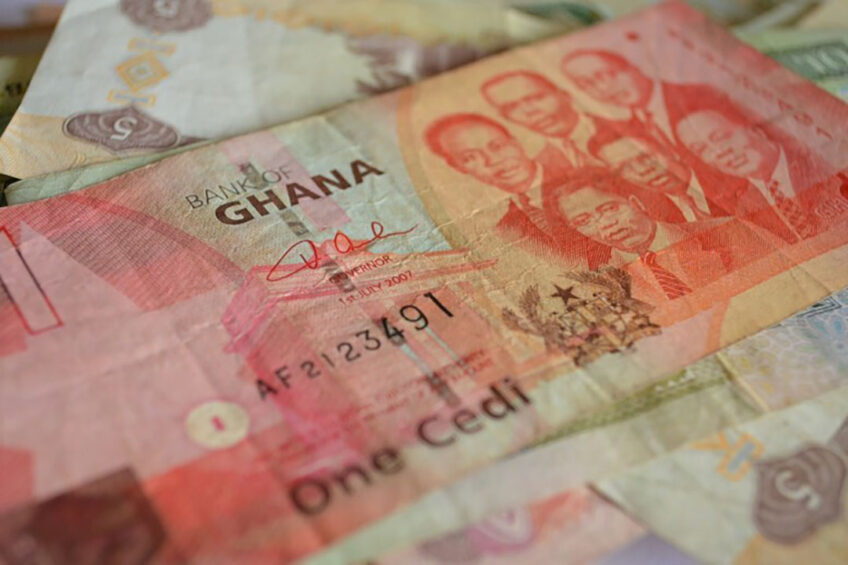 Poultry farmers in Ghana affected by avian influenza will receive compensation. Photo: PDPics/1363 images