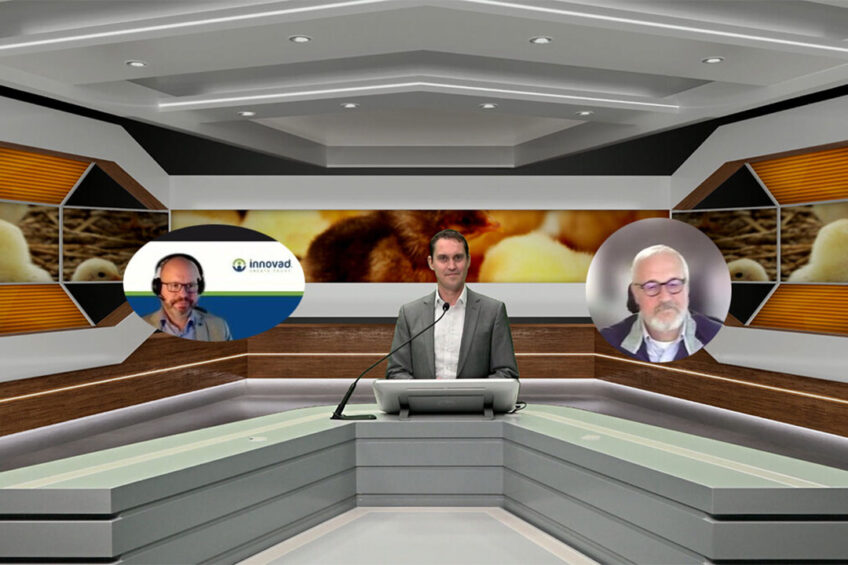 On-demand webinar: Chronic gut inflammation in broilers