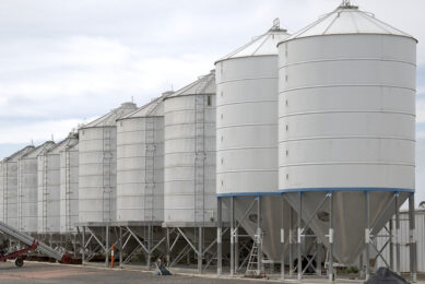 A letter has been submitted to Russia's Agricultural Ministry asking for the suspension of exports of feed wheat, corn, soybean meal, and other goods, due to the current instability. Photo: Alistair McLellan
