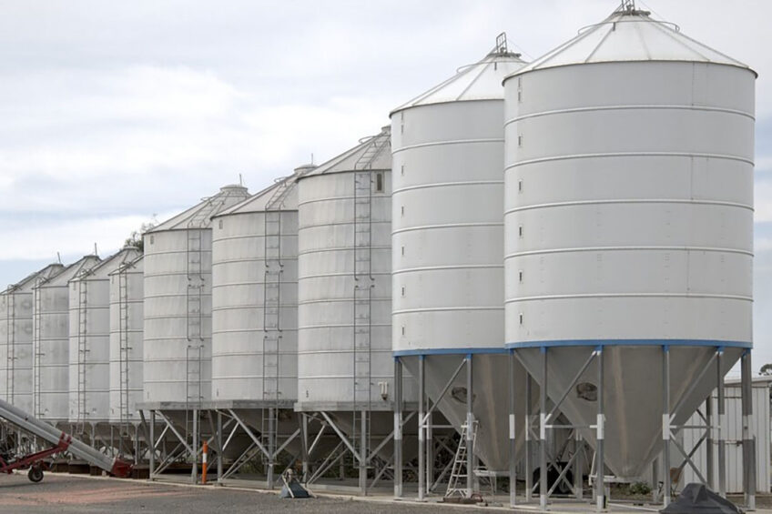 A letter has been submitted to Russia's Agricultural Ministry asking for the suspension of exports of feed wheat, corn, soybean meal, and other goods, due to the current instability. Photo: Alistair McLellan