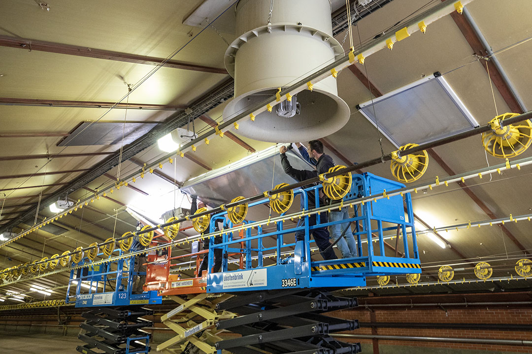 Various adaptation options are available for housing systems to provide climate amelioration for broilers, with ventilation being one of the most important considerations. Photo: Anne van der Woude