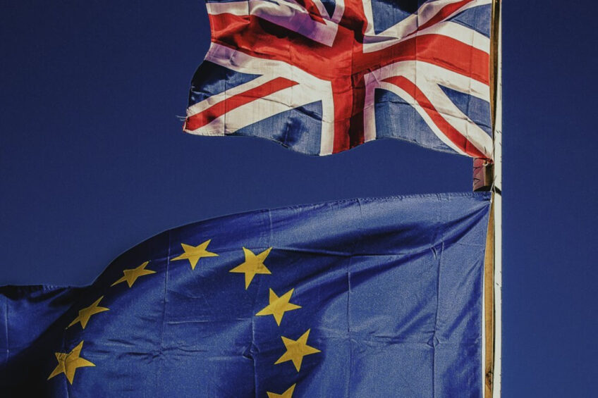 The British Poultry Council’s CE speaks out about an ongoing lack of reciprocity in UK-EU trade. Photo: Rocco Dipoppa