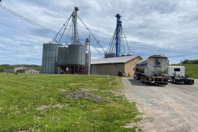 Results from Synergy’s extensive feed trials have definitively convinced McAleer and his team that a plant-based diet is best to achieve top results in the breeder and broiler house. Photo: Synergy