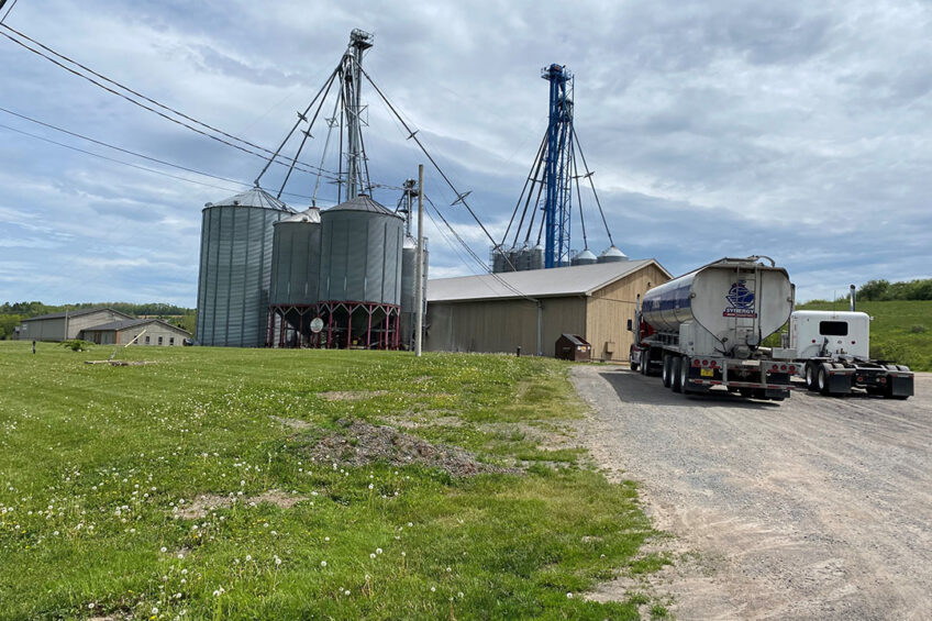 Results from Synergy’s extensive feed trials have definitively convinced McAleer and his team that a plant-based diet is best to achieve top results in the breeder and broiler house. Photo: Synergy