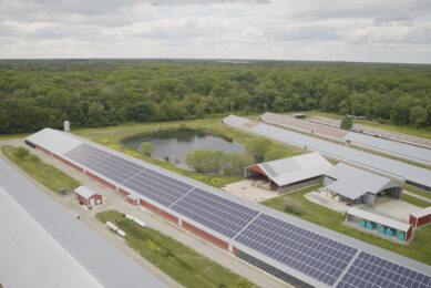 Installing solar panels on poultry farms offsets part of the energy consumption and reduces the industry's carbon footprint. Photo: Treena Hein