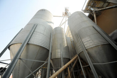 Feed represents about 70% of the total cost of producing poultry. Photo: Cobb Vantress