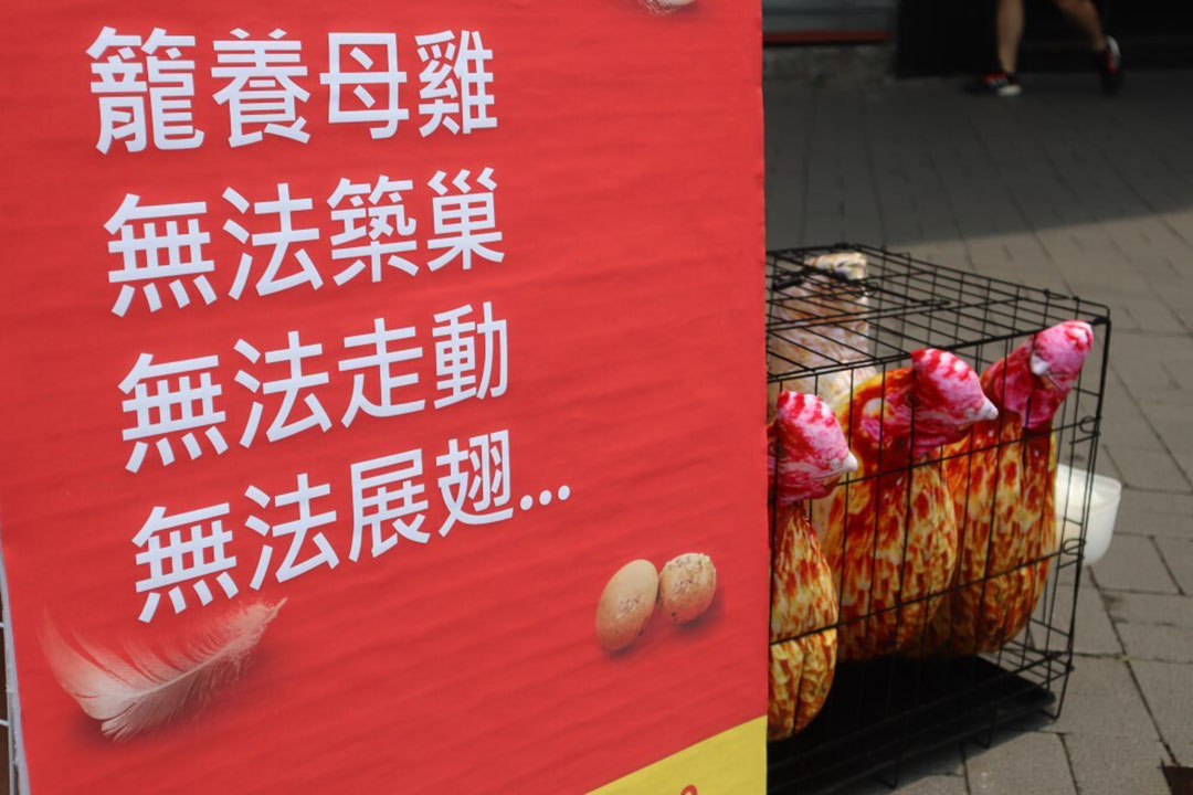 Hong Kong. Photo: Planet For All