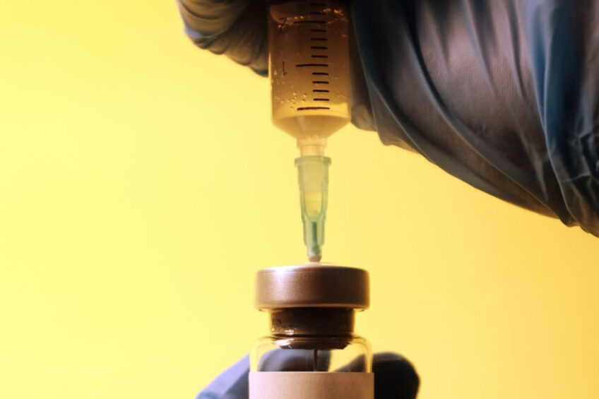 The vaccination aims to combat the recurring epidemics of highly pathogenic avian influenza. Photo: Hakan Nural