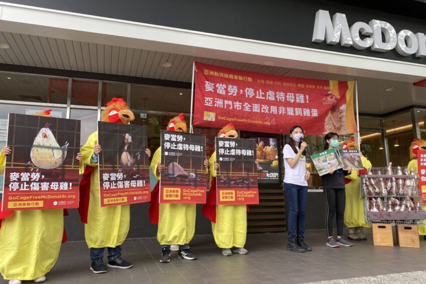 Protest action in Taipei, Taiwan. Photo: Environment & Animal Society of Taiwan (EAST)