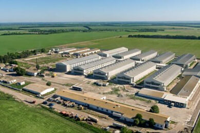 Ovostar says that the supporting facilities accommodating the hatchery, poultry houses for parent flock, and young layers have not been affected. Photo: Ovostar