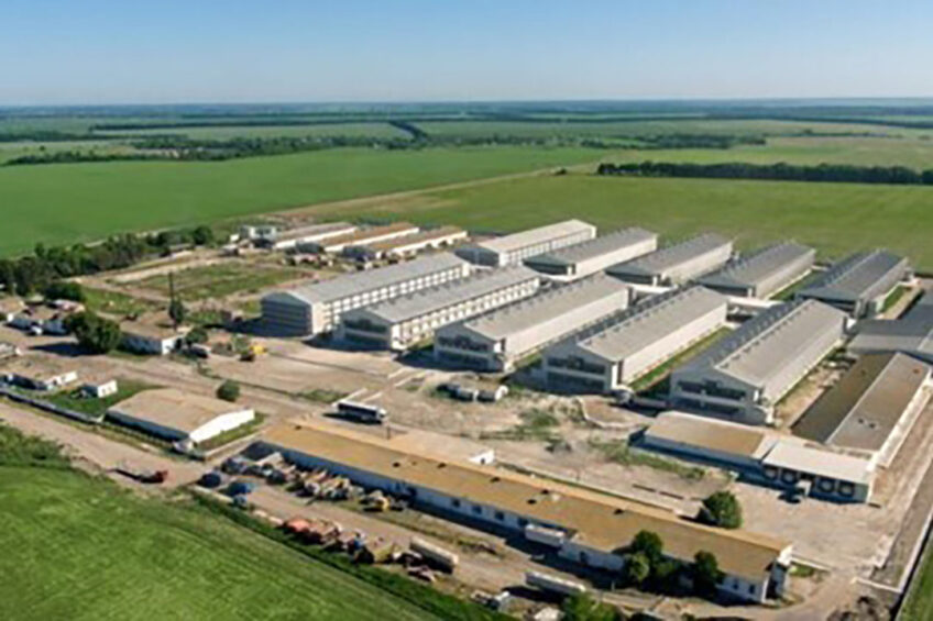 Ovostar says that the supporting facilities accommodating the hatchery, poultry houses for parent flock, and young layers have not been affected. Photo: Ovostar