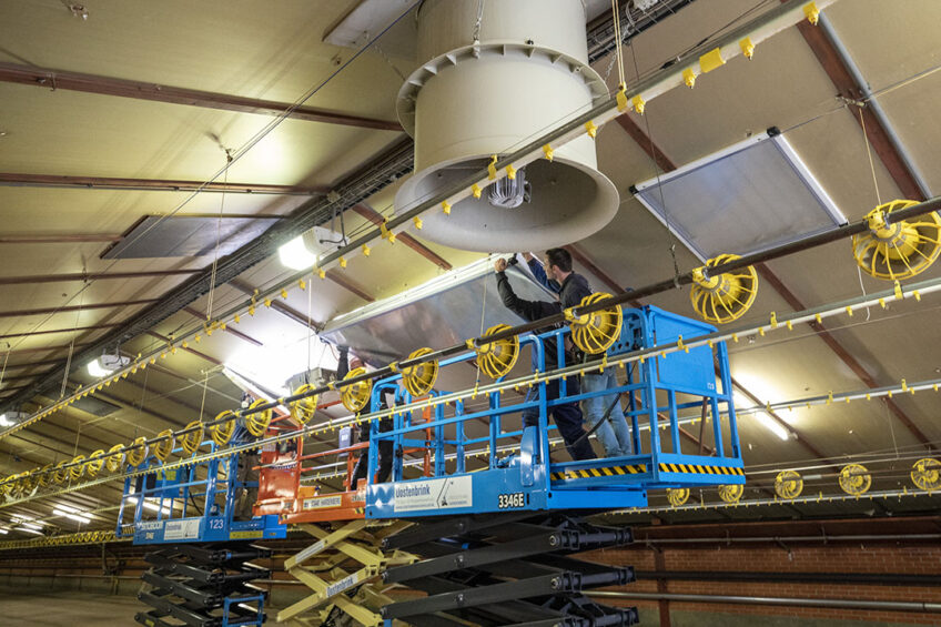 Various adaptation options are available for housing systems to provide climate amelioration for broilers, with ventilation being one of the most important considerations. Photo: Anne van der Woude