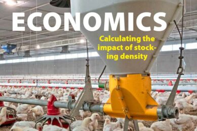 Poultry World edition 3 of 2022 is now online