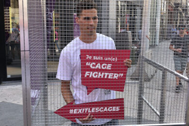 In the UK and EU, the cage free movement is driven by activists, exploiting the lack of consumer understanding of barn production. Photo: ANP