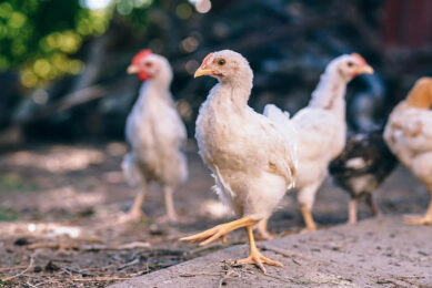 Consumer spending on organic production is on the rise. Photo: Igor Ovsyannykov