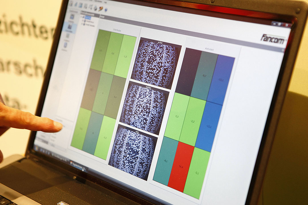 Engineering techniques to monitor, model and manage animal production in broiler farming aims to increase the farmer’s ability to maintain contact with individual animals. Photo: Hans Prinsen