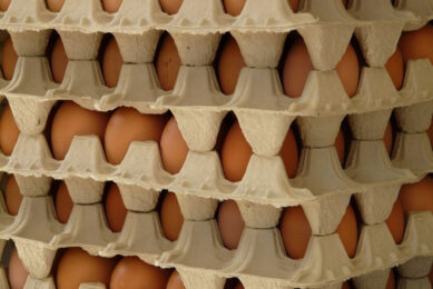 After the Ukrainian ports suspended operation, egg exports ground to a halt for several months. However, supplies have gradually resumed. Photo: Hans Braxmeier
