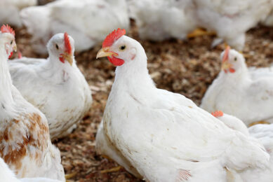 Photo: Fotolia/CCPA