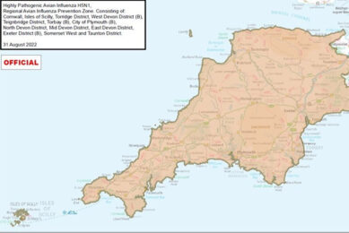 UK declares avian influenza prevention zone