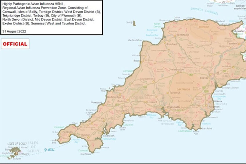UK declares avian influenza prevention zone