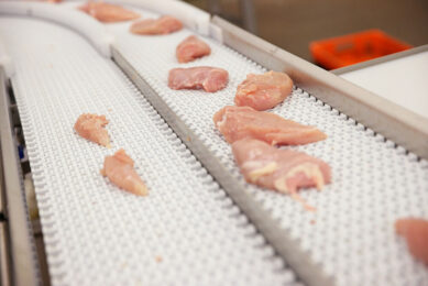 Meat quality measures the organoleptic and physiochemical properties of fresh or value-added meat. Photo: Michel Zoeter