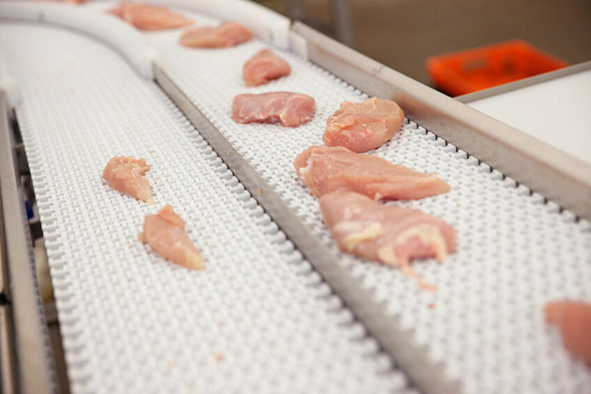 Meat quality measures the organoleptic and physiochemical properties of fresh or value-added meat. Photo: Michel Zoeter