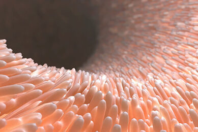 Phtot: Shutterstock / Volodimir Zozulin