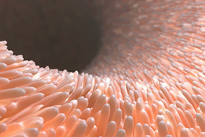 Phtot: Shutterstock / Volodimir Zozulin