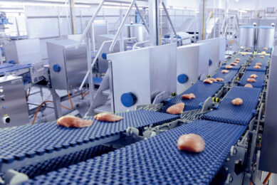 With the help of the IRIS FI and Fillet Distributor, fillets with approved quality can go in a downstream flow for packing in trays. Photos: Marel