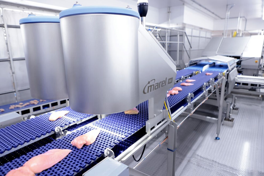The IRIS Fillet Inspection cameras assess visual quality by detecting all fillet defects.