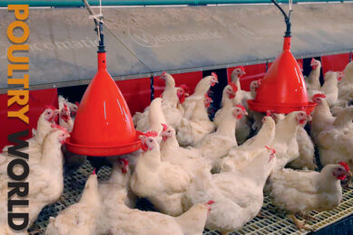 Poultry World edition 7 of 2022 is now online