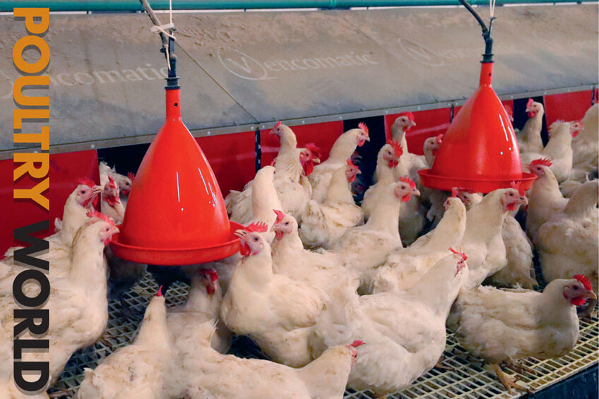 Poultry World edition 7 of 2022 is now online