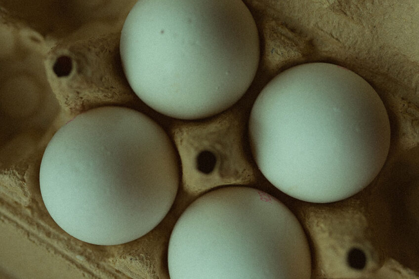 Photo: Alina Bordunova