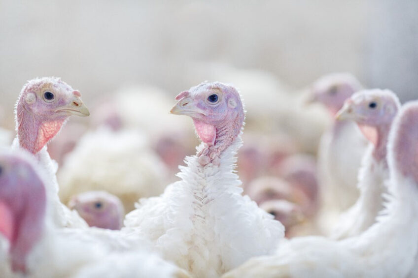 Photo: Shutterstock