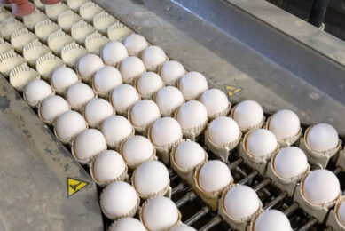 Free-range egg producers are losing up to £8.63 per hen based on an average sales price of 101.10p/dozen. Photo: Herbert Wiggerman