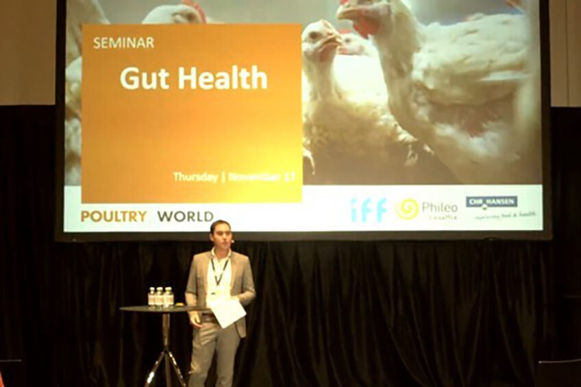 VIDEOS: EuroTier poultry seminars available to watch
