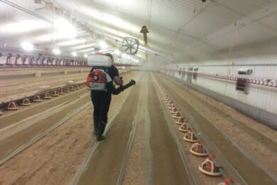 In farm buildings all surfaces — floors, walls, ceilings and equipment — are colonised by biofilms. Photo: Lallemand