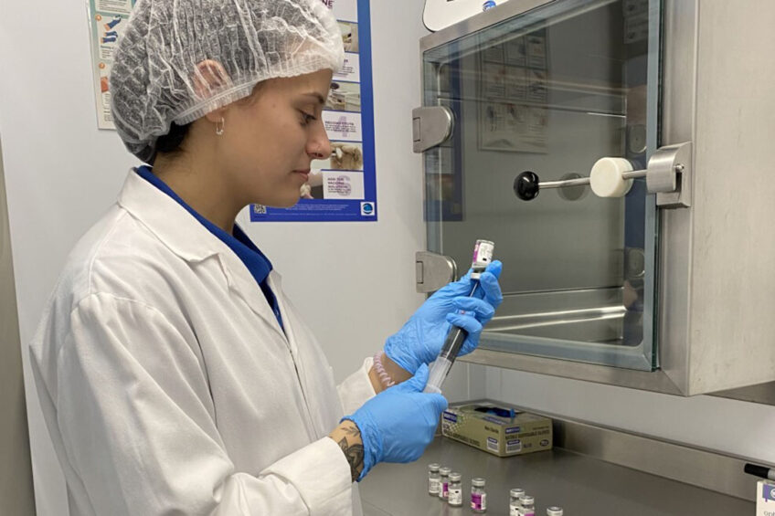 Trained hatchery staff preparing a vaccine solution to be injected in-ovo. After reconstitution, the vaccine bag is released to the transfer room using the dedicated transfer hatch. Photo: Ceva