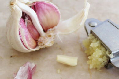 Garlic extract supplementation improved the immunity response of layer chicks by inhibiting microbial infections and inflammation. Photo: Ulrike Mai